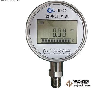數(shù)字壓力表20MPa